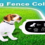 https://mysearchplace.com/choosing-the-right-electric-dog-fence-is-the-ultimate-protection/