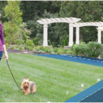 https://www.vcarious.com/how-are-effective-electric-dog-fences-for-dogs-large-in-size/