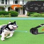 https://visitmagazines.com/get-an-electronic-fence-for-the-safety-of-your-multiple-pet-dogs/