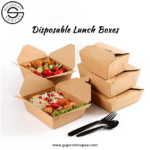 Reasons behind the Growing Demand of Disposable Lunch Boxes