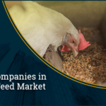 Top 10 Companies in Animal Feed Market | Meticulous Blog