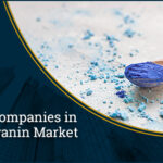 Leading Players in the Phycocyanin  Market