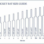 Overview of Cricket Bat Sizes
