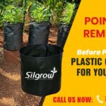 Points to Remember Before Purchasing Plastic Grow Bags for Your Plants