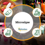 Microalgae Market – The Future of Functional Nutrition and Omega-3 Fatty Acid Production | Meticulous Blog