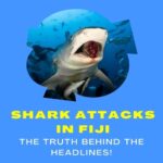 Shark Attacks in Fiji: The Truth Behind the Headlines!