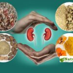 Top 10 Natural Supplements for Kidney Health: Boost Your Detox Power Naturally!